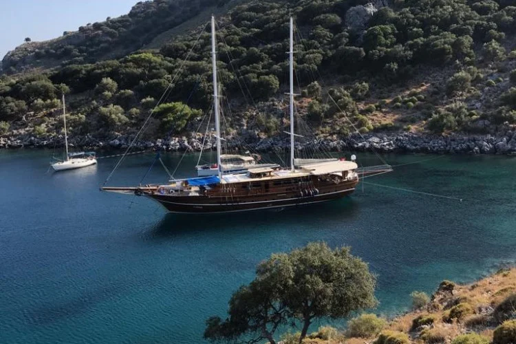 gallery-6486d2ad456f5