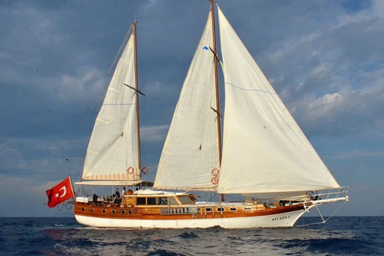 gallery-6492c964ac0f7