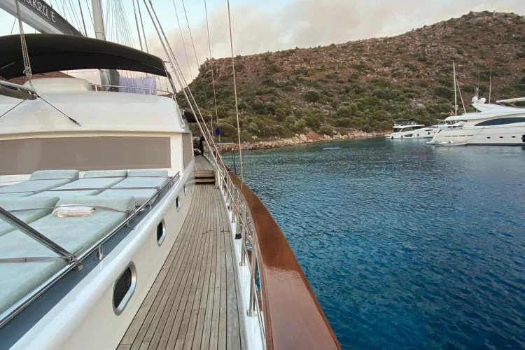 gallery-6492dc4abf77c