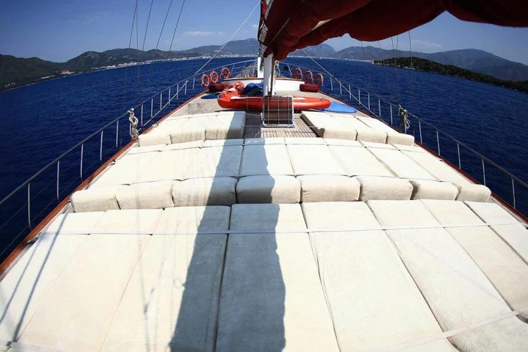 gallery-64abb53d77046